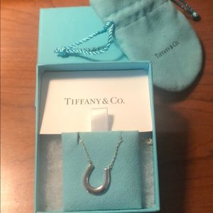 Tiffany & Co sterling silver horseshoe necklace